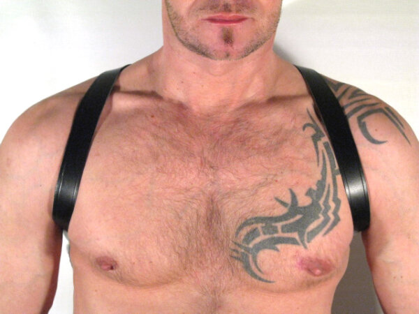 R&Co Shoulder Harness - Standard Size