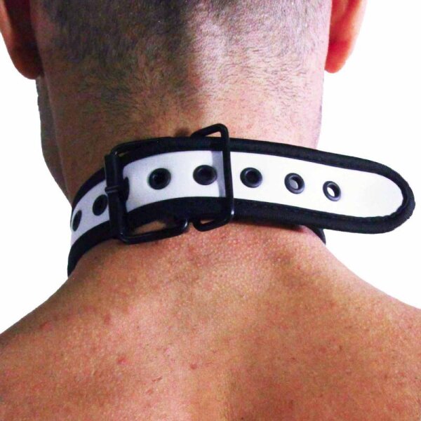 Rude Rider Neoprene Puppy Collar White