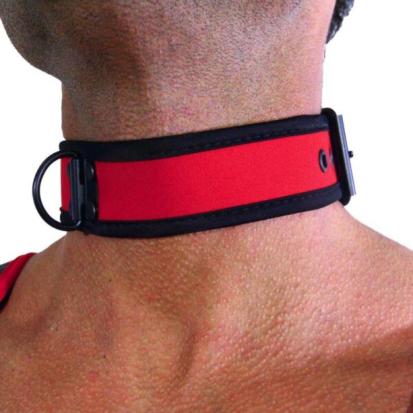 Rude Rider Neoprene Puppy Collar Red