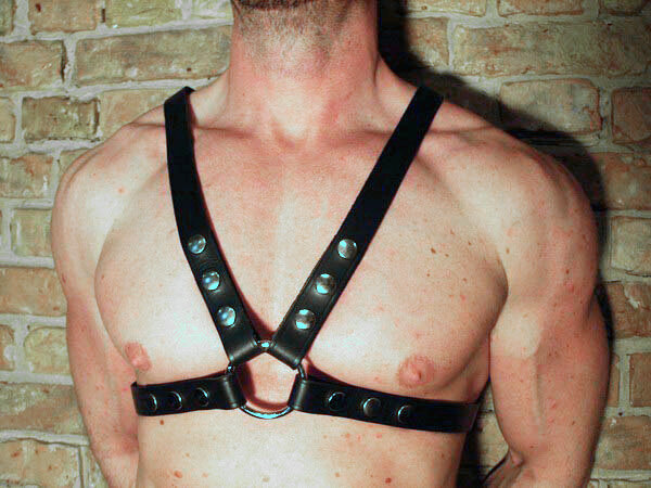 R&Co Four Strap Harness 2,5 cm