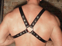 R&Co Four Strap Harness 2,5 cm