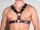 R&Co Y-Harness in Soft Leather Black Piping + Inlay