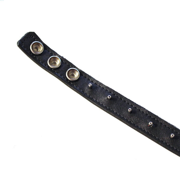 R&Co 3-Snap Leather Cockstrap Dull Pins