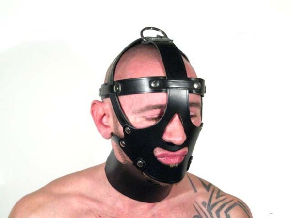 R&Co Leather Head Harness