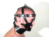 R&Co Leather Head Harness