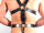 R&Co Full Body Master Harness L