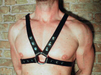 R&Co Four Strap Harness 2,5 cm L