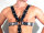 R&Co Full Body Slave Bondage Harness With D-Rings L