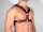 R&Co Y-Harness in Soft Leather Black + Piping Red L