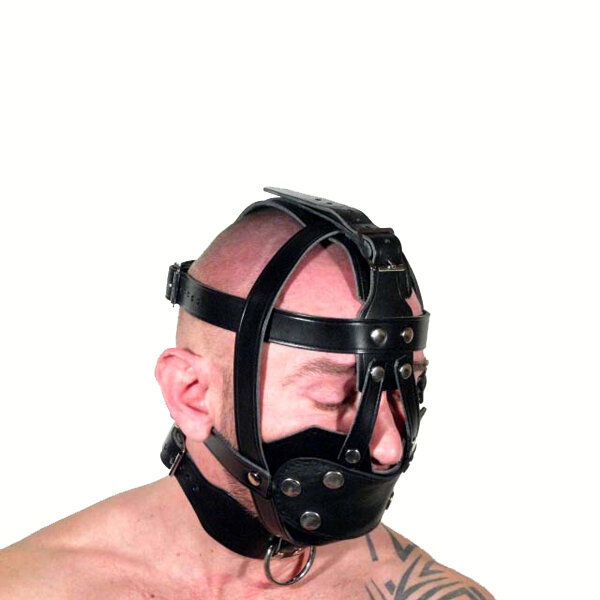 R&Co Leather Head Harness with Mouth Cover