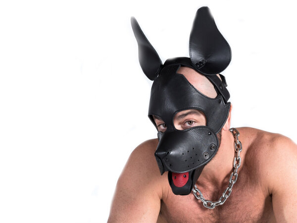 665 K-9 Mask With Muzzle