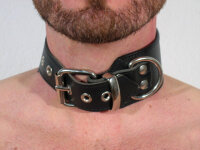 R&amp;Co 6cm wide Dog Collar