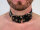 R&Co Slave Collar 3 cm wide fits up to 55cm