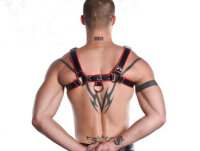 R&amp;Co H-Harness in Soft Leather Black + Piping Red